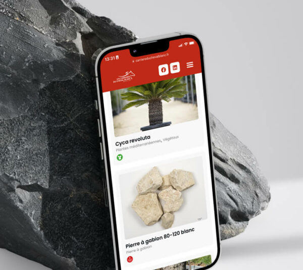 Iphone on rock