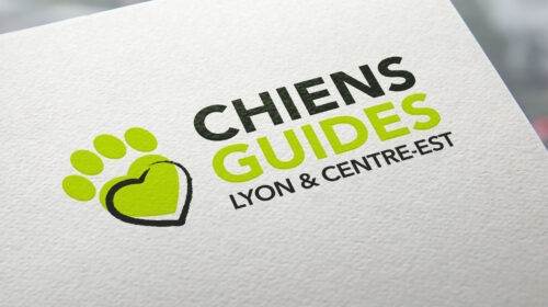 Chiens Guides d'aveugles - Accessibilité numérique